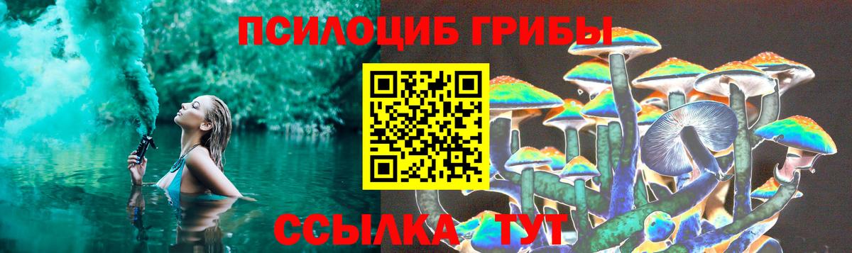 Псилоцибиновые грибы MAGIC MUSHROOMS  Псилоцибиновые грибы Psilocybine cubensis  где найти   Вход с VPN  Асбест 
